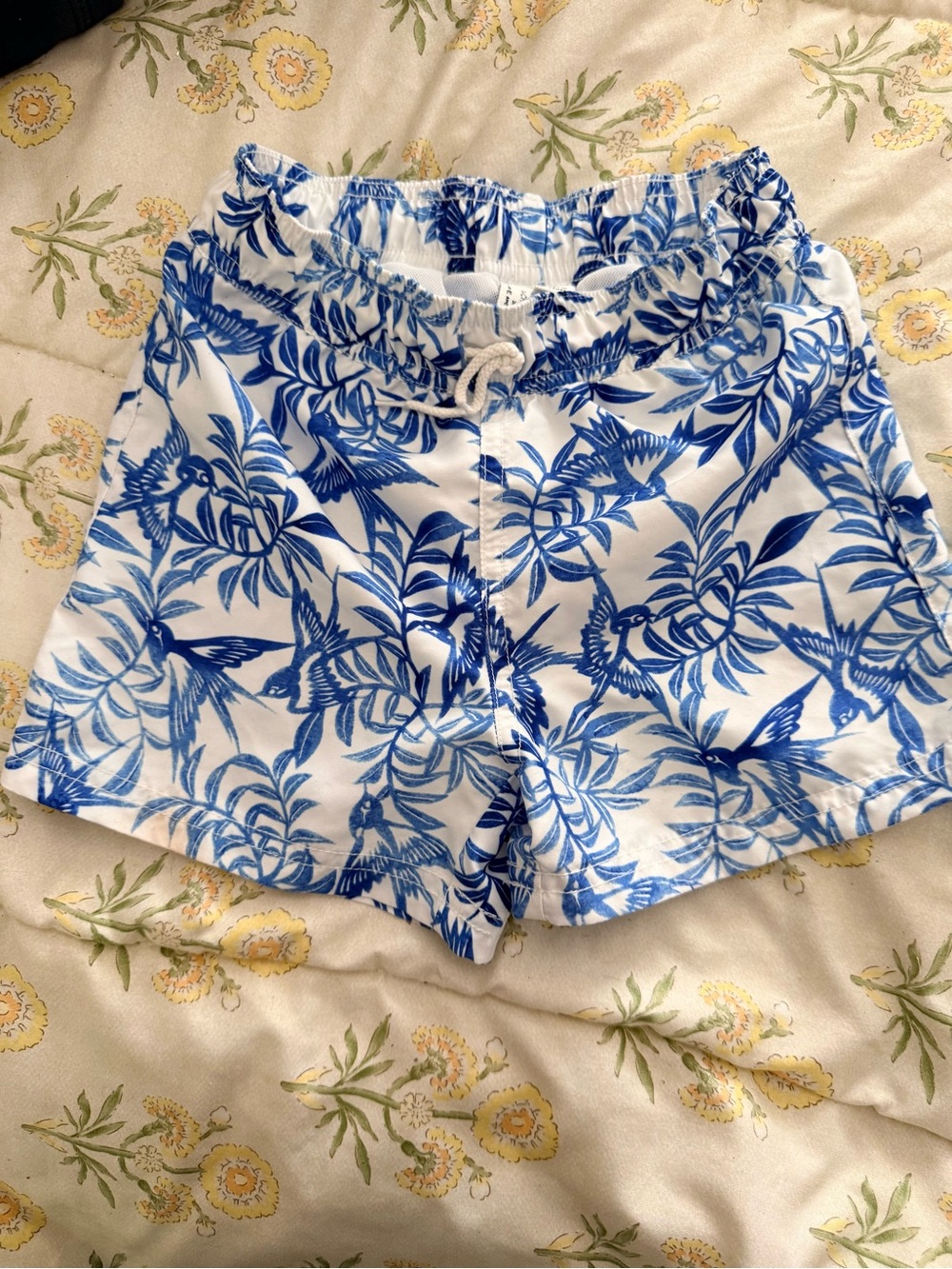Baby swimsuit tropical birds swim trunks Rachel Zoe Janie and Jack 4t